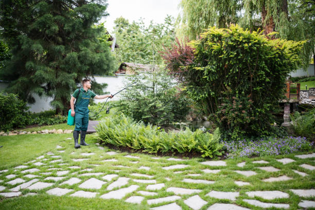 Best Residential Pest Control  in Ashford, AL