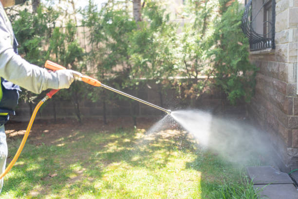 Best Pest Control Near Me  in Ashford, AL