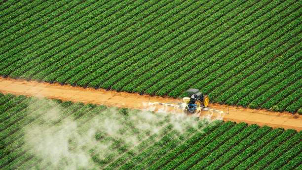 Best Cockroach Control Services  in Ashford, AL