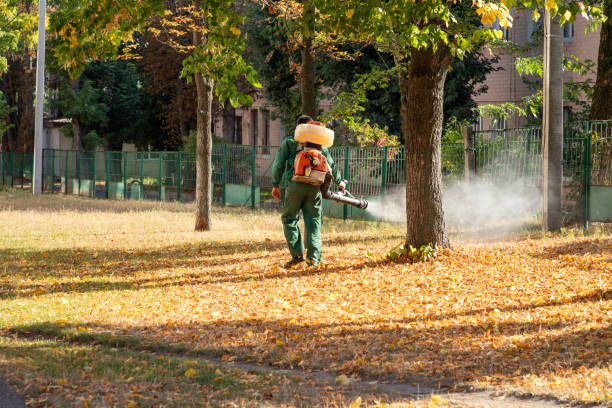 Best Exterminator Services  in Ashford, AL