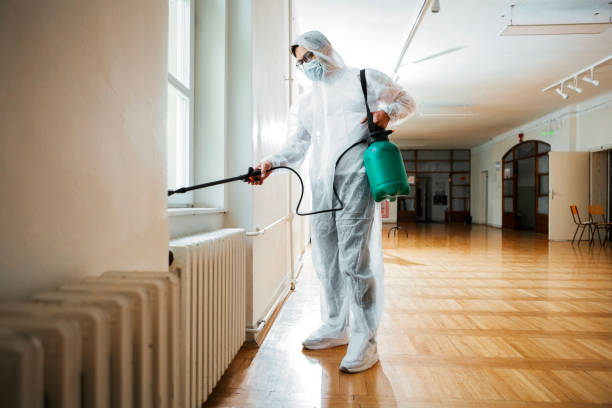 Best Affordable Pest Control Services  in Ashford, AL