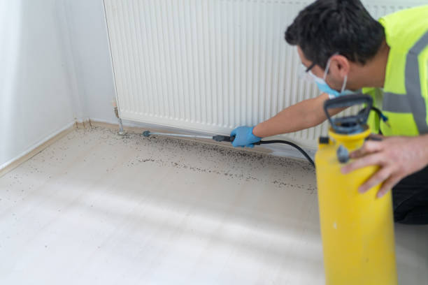 Best Residential Pest Control  in Ashford, AL