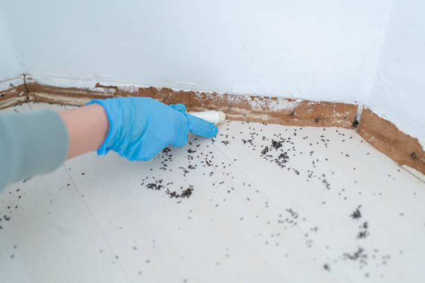 Best Commercial Pest Control Services  in Ashford, AL