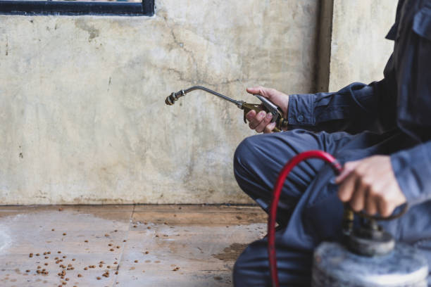 Wasp Removal Services in Ashford, AL