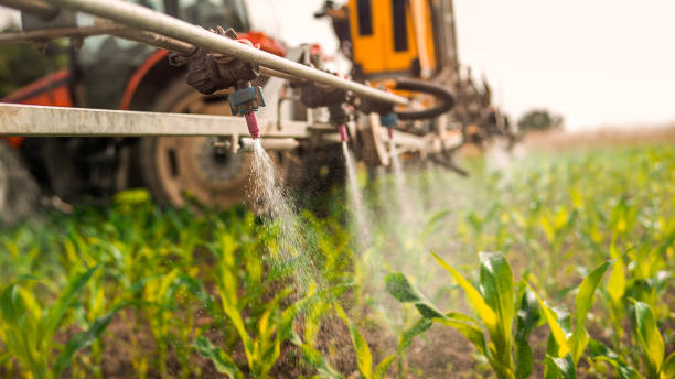 Best Mosquito Control Services  in Ashford, AL