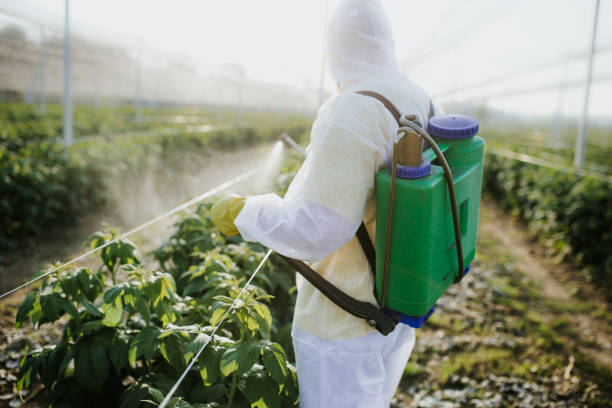 Best Exterminator Services  in Ashford, AL